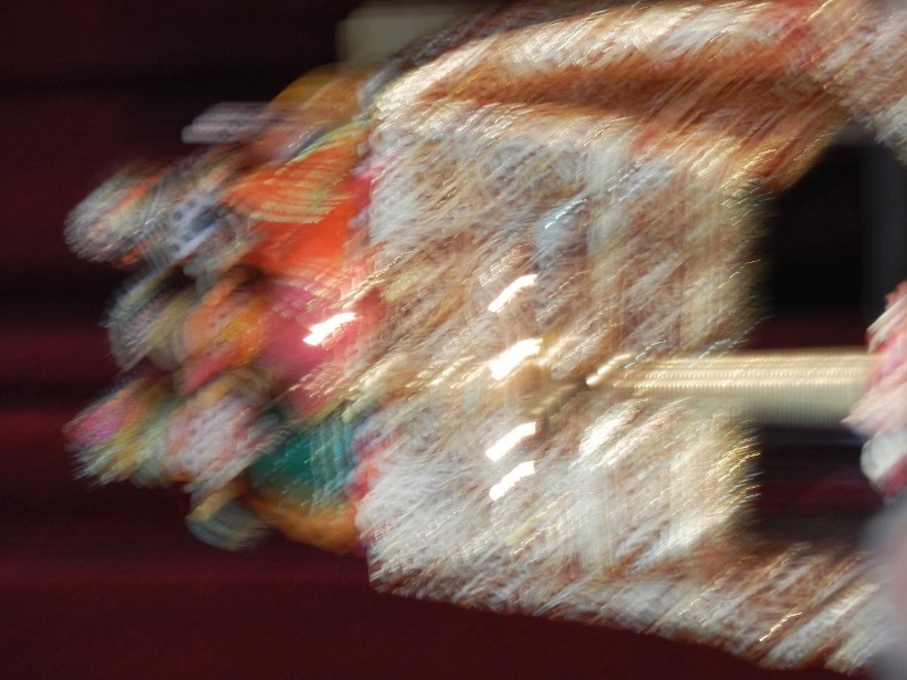DSCN3134.jpg